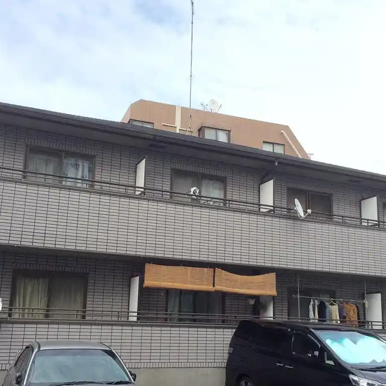 プチメゾン
